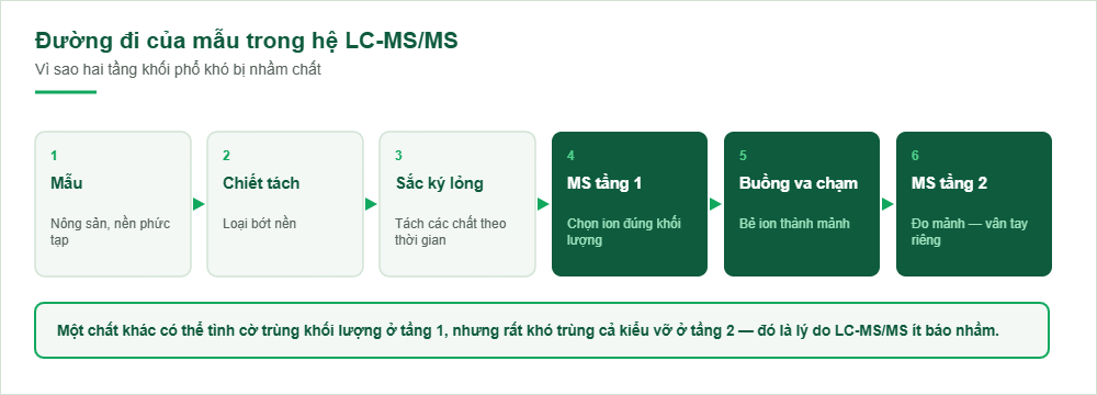 Sơ đồ đường đi của mẫu trong hệ LC-MS/MS
